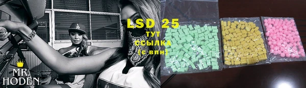 гашик Ельня