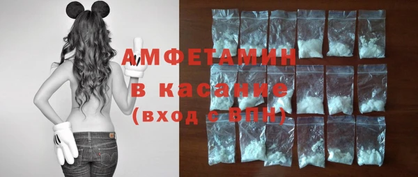 гашик Ельня