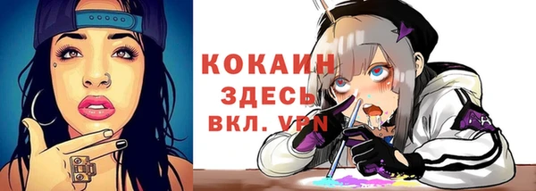 гидропоника Елабуга