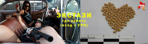 гашик Ельня