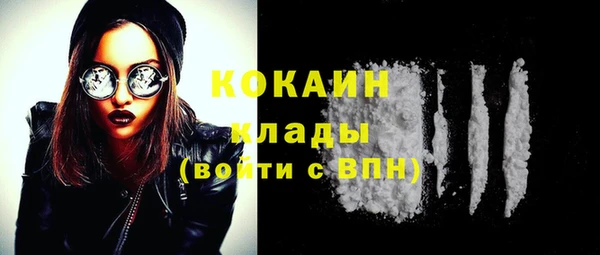гашик Ельня
