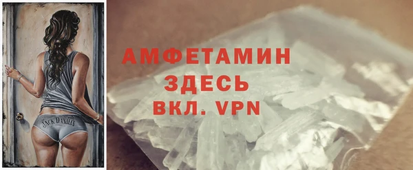 гашик Ельня