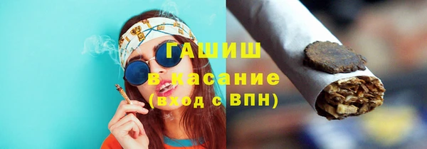 гашик Ельня