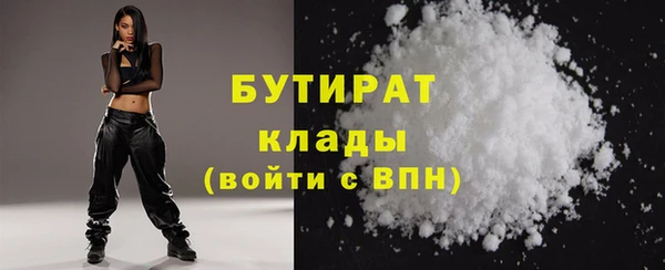 гашик Ельня
