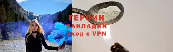гашик Ельня