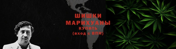 гидропоника Елабуга