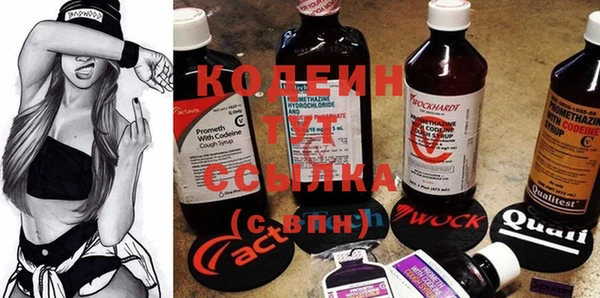 гашик Ельня