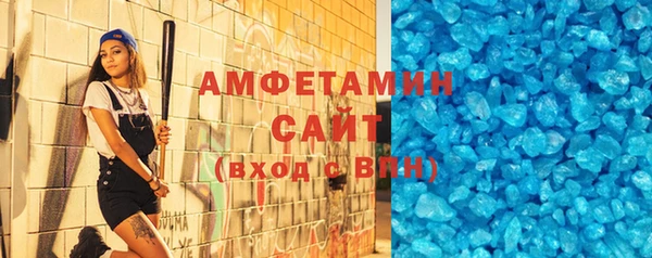 гашик Ельня
