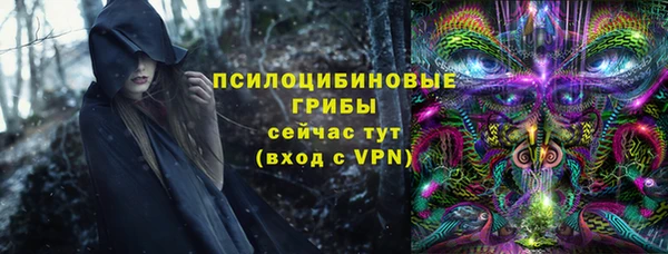 стаф Елизово