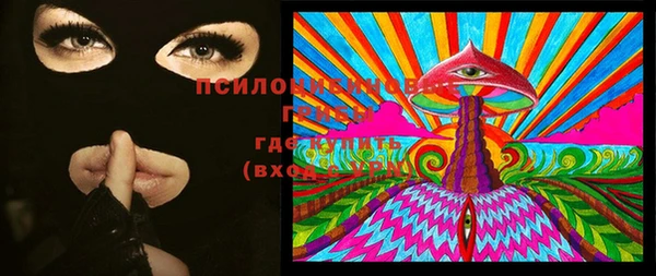 стаф Елизово