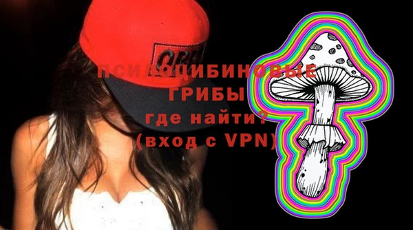 гидропоника Елабуга