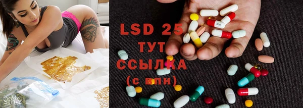 стаф Елизово