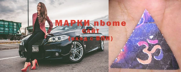 гашик Ельня