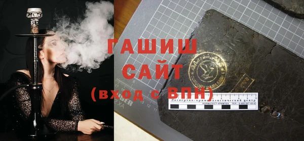 гашик Ельня