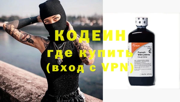 стаф Елизово