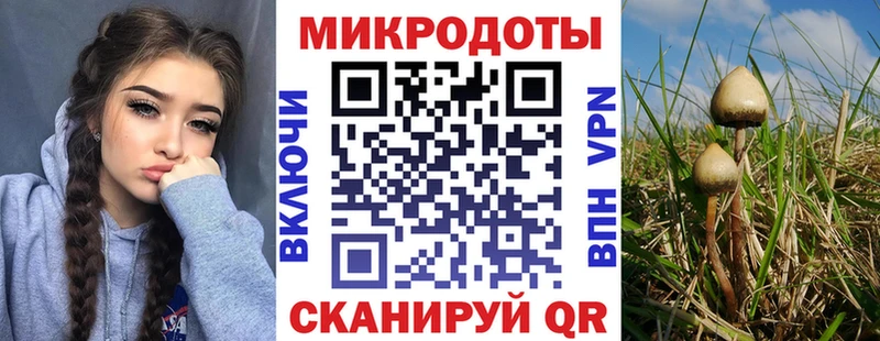 купить наркотик  Азнакаево  Галлюциногенные грибы MAGIC MUSHROOMS 